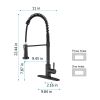 Kitchen Faucet with Pull Out Spraye-dk